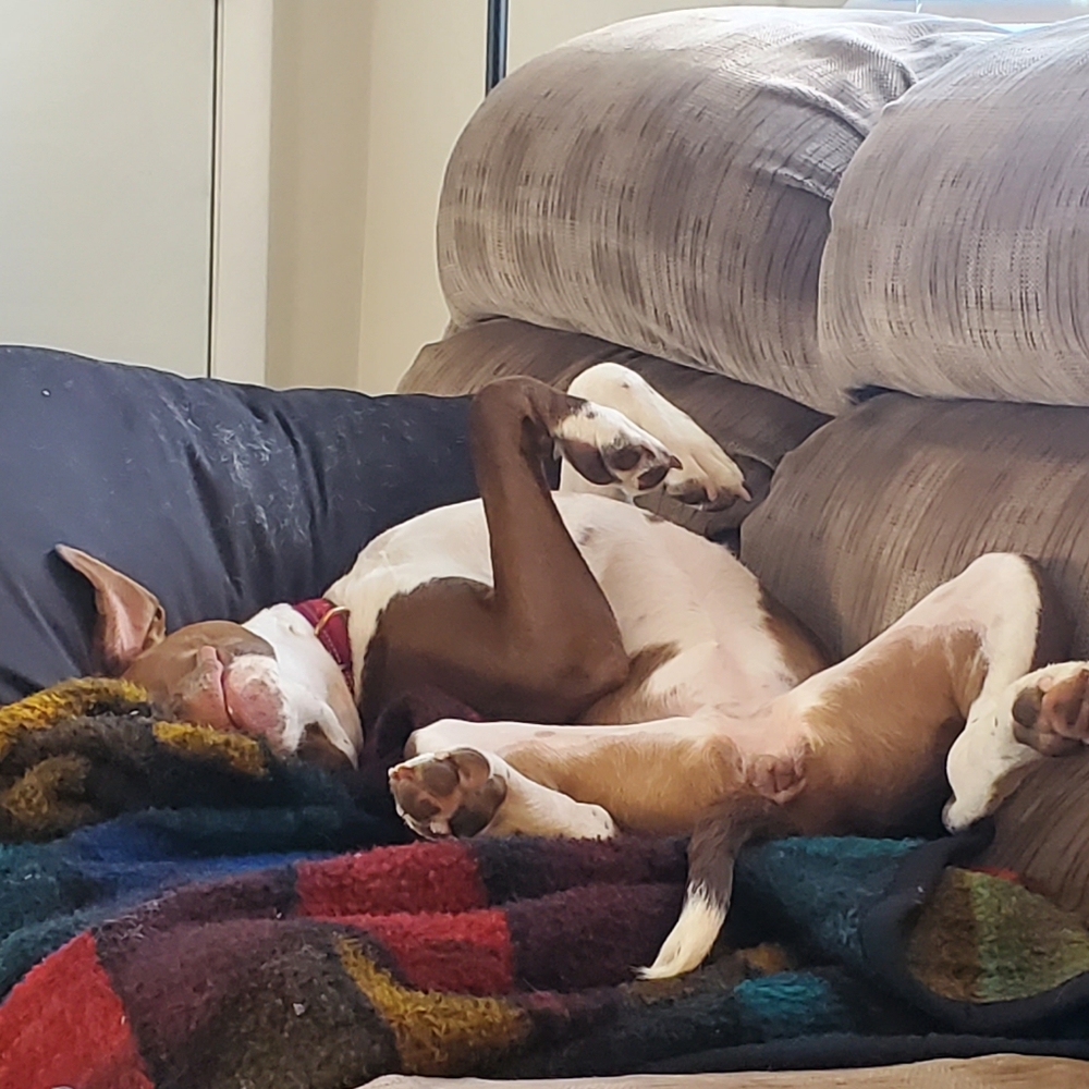 Meet your Posher, Brooke